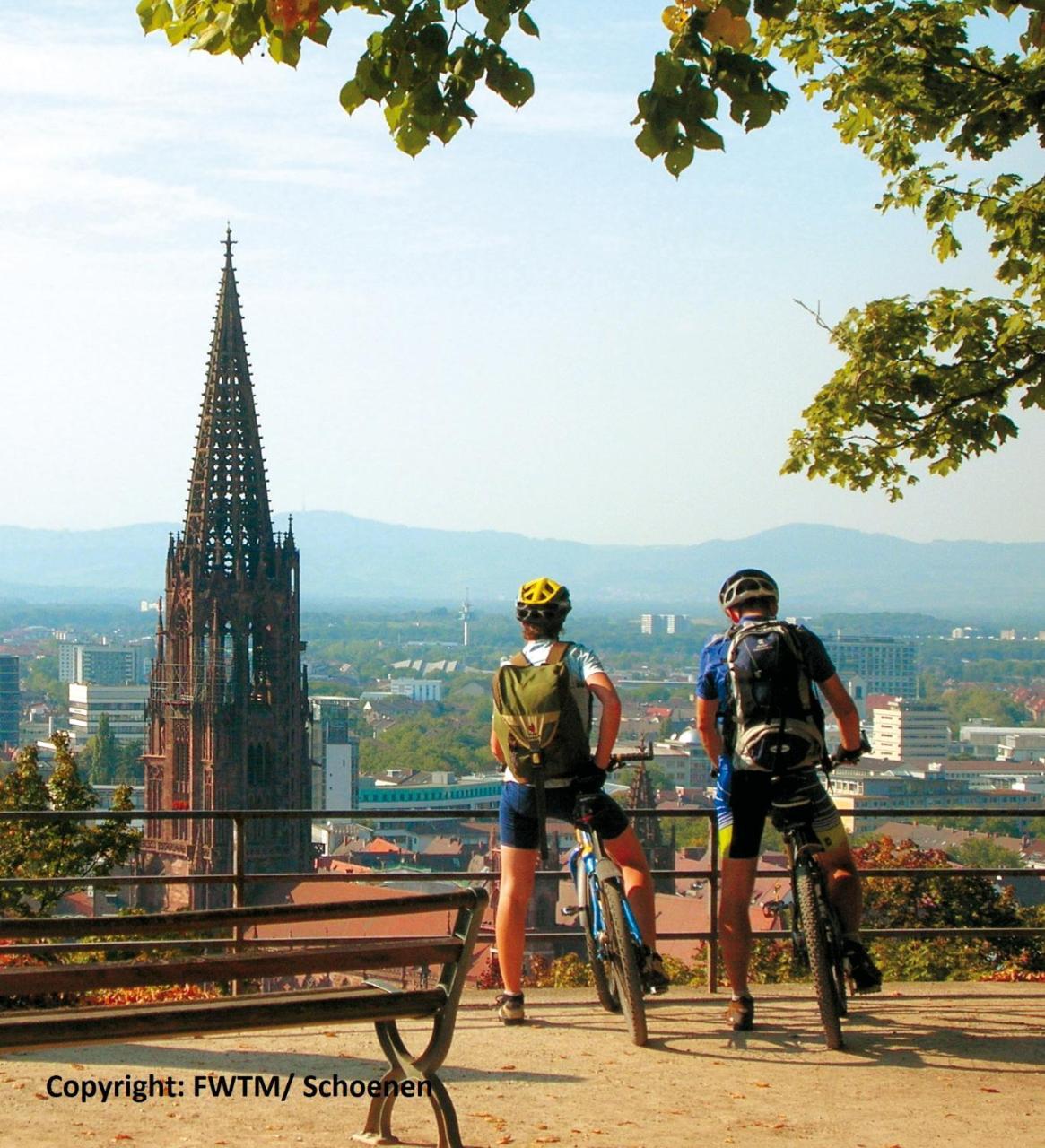 Invite Hotel Loewen Freiburg Buitenkant foto